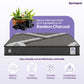 OrthoAlign Bonded Foam Mattress